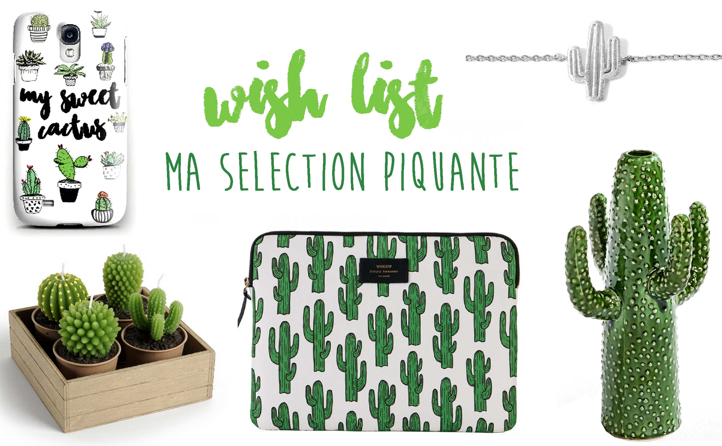 La folie des cactus m’a piquée !