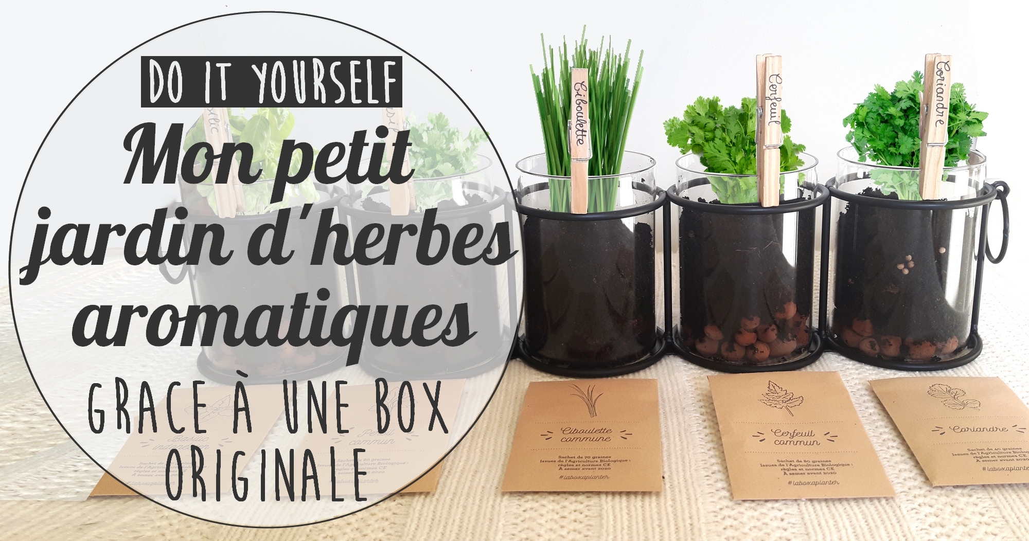 DIY : mon jardin d’herbes aromatiques d’intérieur