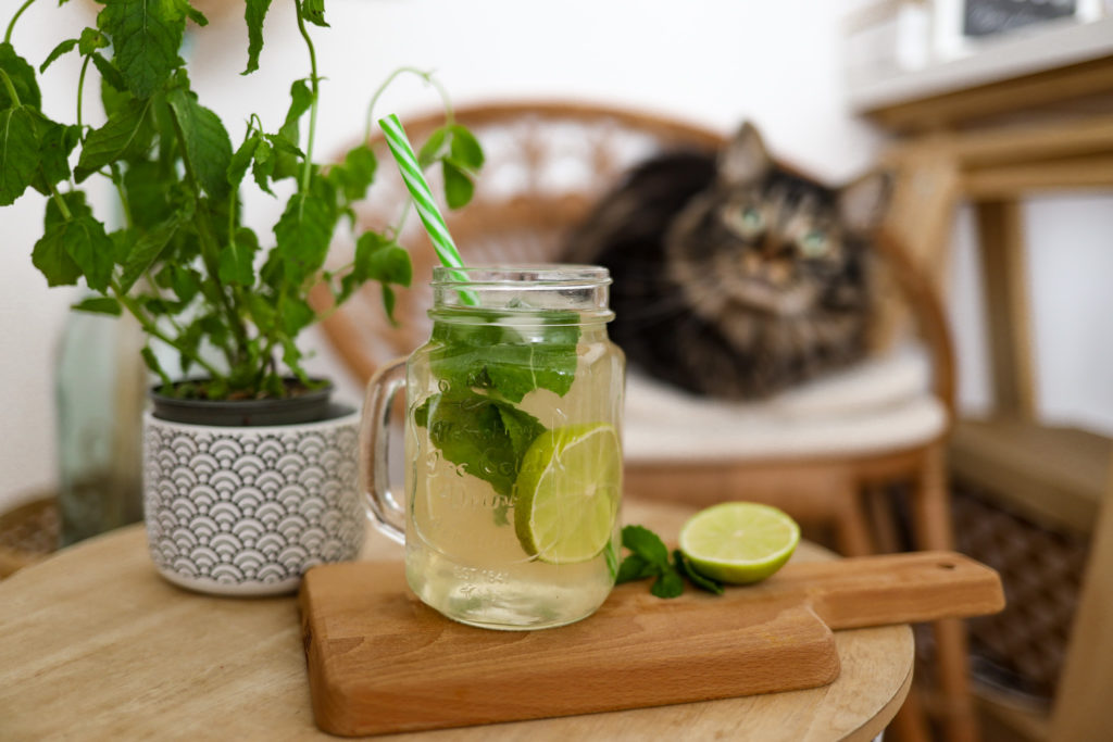 Mojitea : Ma recette facile et rapide de Mojito au thé