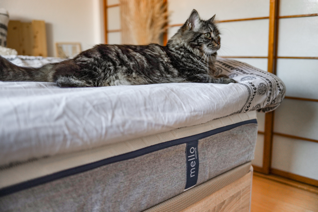 test et avis sur le matelas Mello Matelas