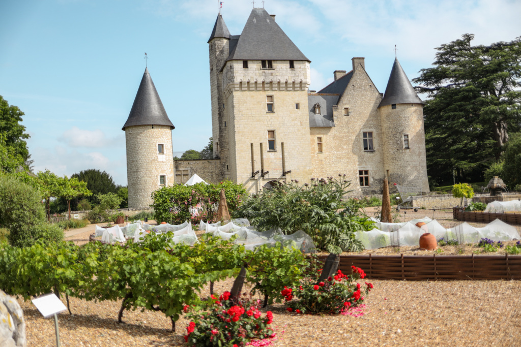 séjour oenologique en val de loire -  châteaudu rivau
