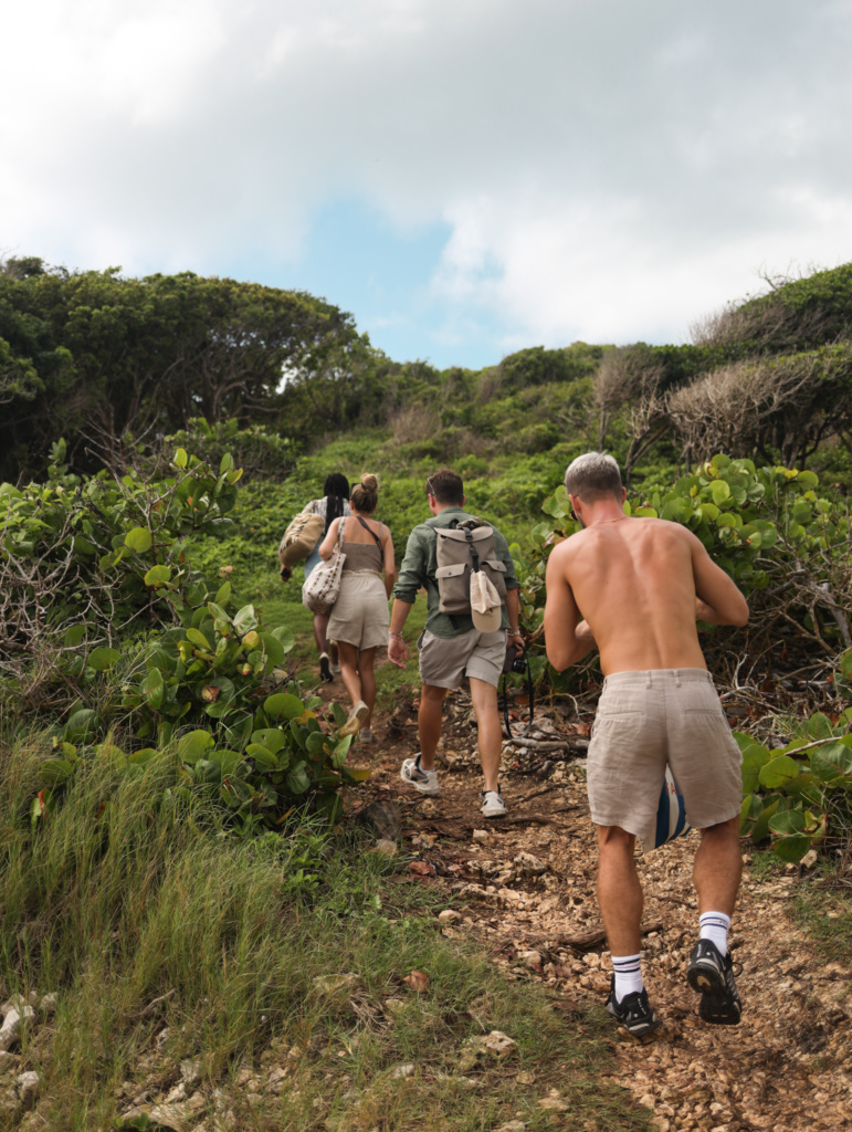 randonnée et excursions au bois Nolan en Guadeloupe