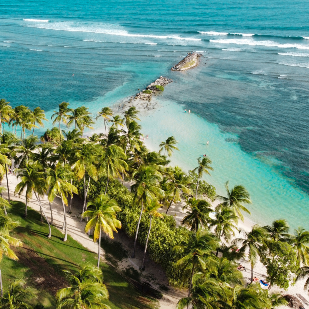 city guide bonnes adresses et activités riviera des îles de Guadeloupe photo trône plage de sainte Anne vue d'en haut