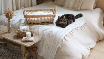 Maison : 5 astuces ménage qui changent la vie