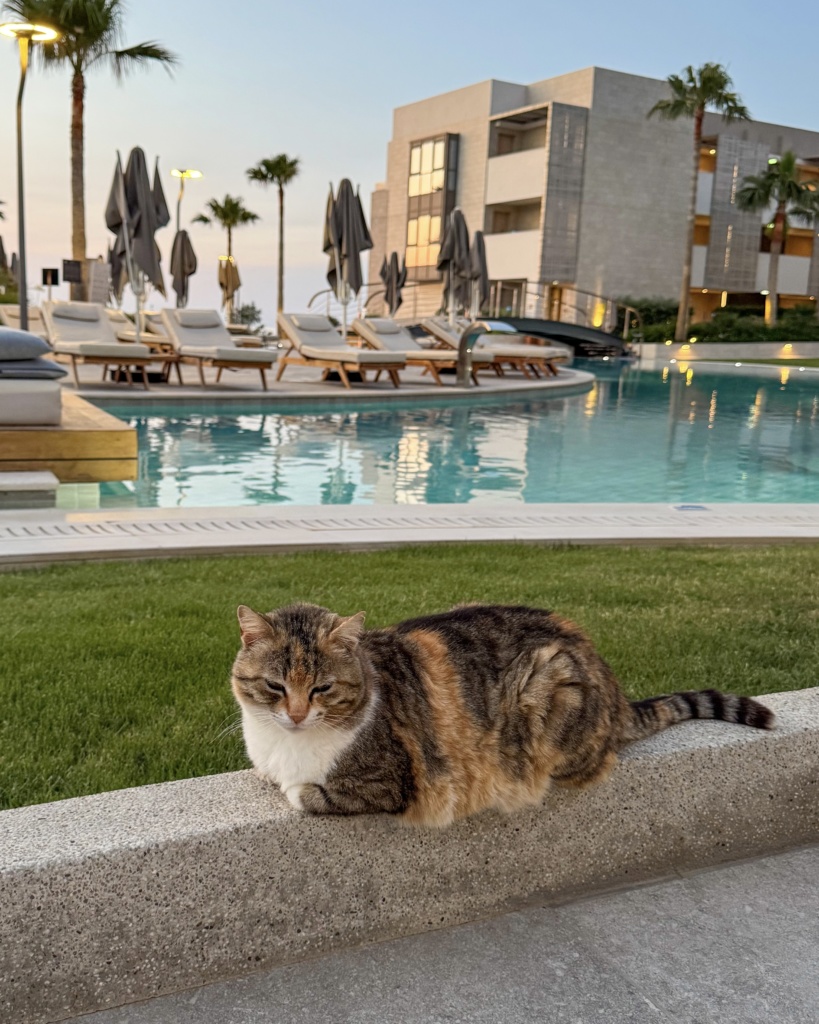Hôtel en Crète Amira Luxury Resort près de Rethymnon